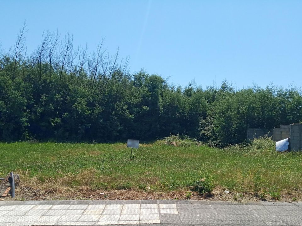 Helårsgrund i Santa Comba Dao, Viseu - foto 2