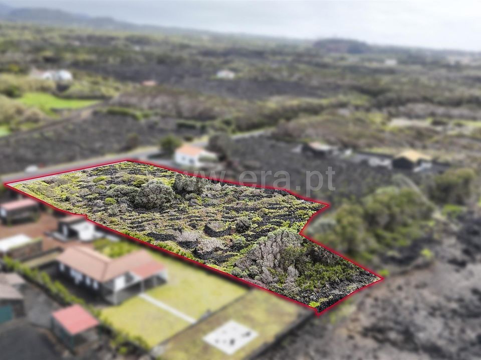 Helårsgrund i Madalena, Pico - foto 5