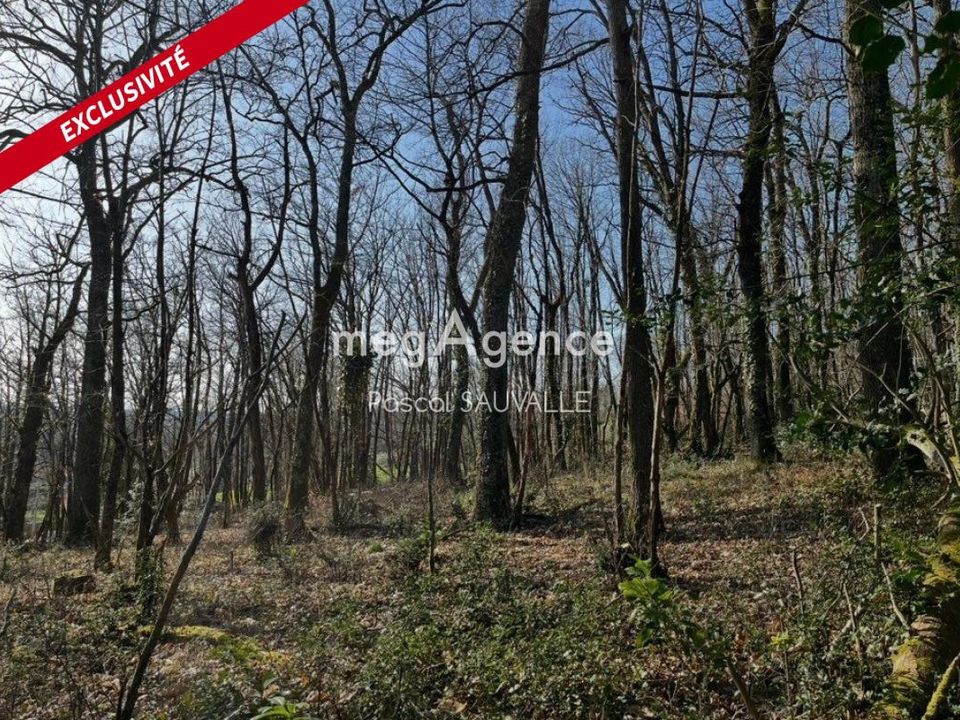 Terra em Chancelade, Dordogne - foto 1