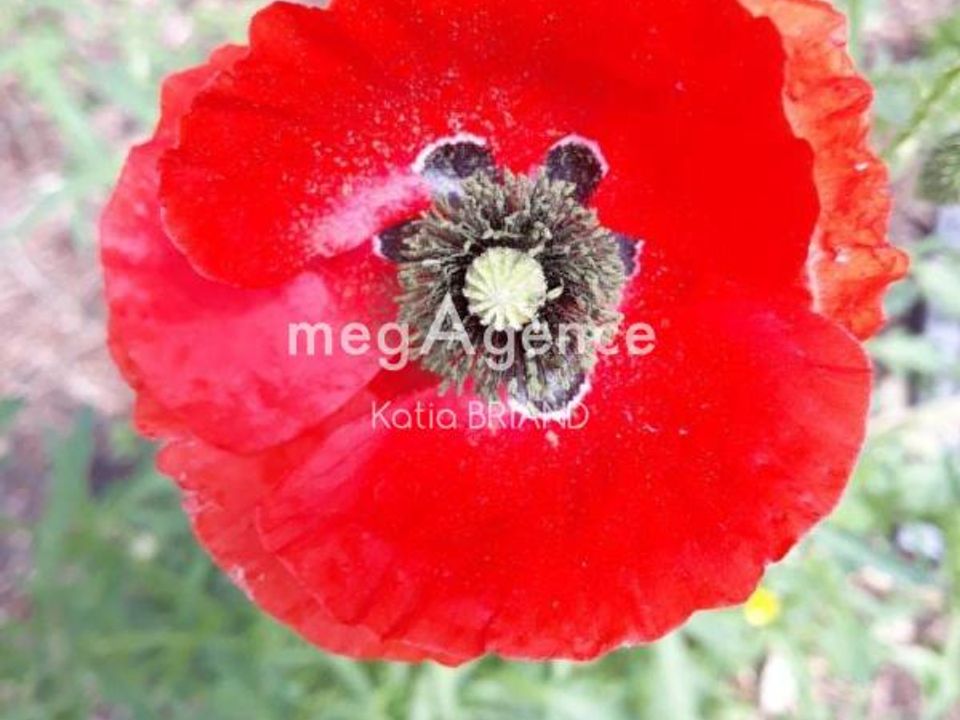 Tomt i L'Huisserie, Mayenne - foto 1