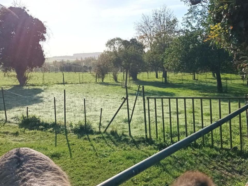 Helårsgrund i Oisemont, Somme - foto 1