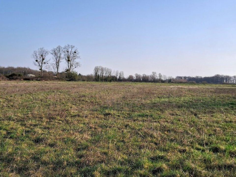 Helårsgrund i Soings-en-Sologne, Loir-et-Cher - foto 1