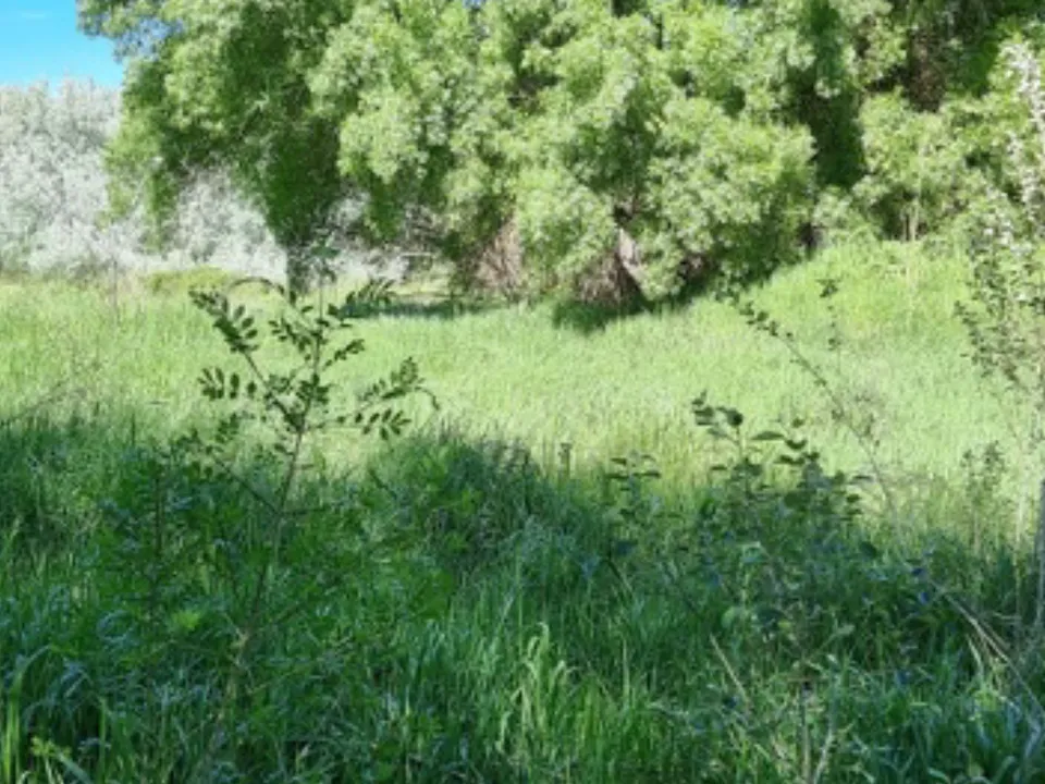 Finca i Garcia, Tarragona - foto 1