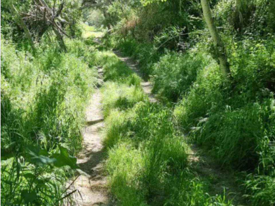 Finca i Garcia, Tarragona - foto 2