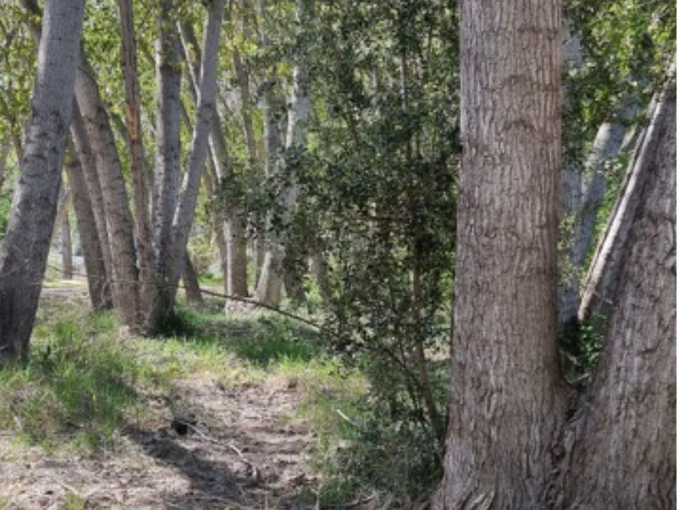 Finca i Garcia, Tarragona - foto 5