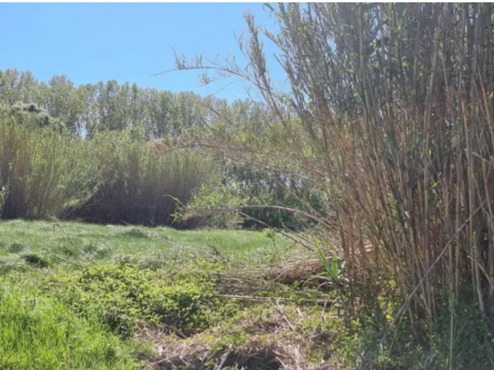Finca i Garcia, Tarragona - foto 3