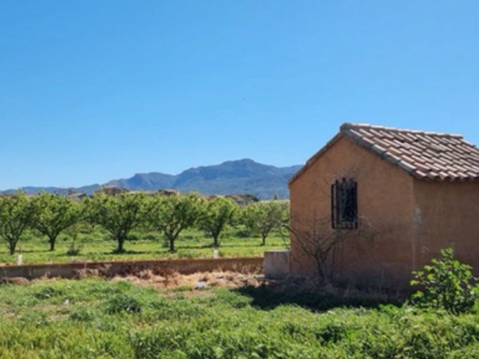Finca i Ginestar, Tarragona - bilde 4