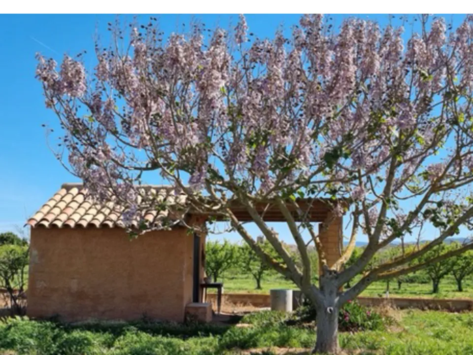 Finca i Ginestar, Tarragona - bilde 2