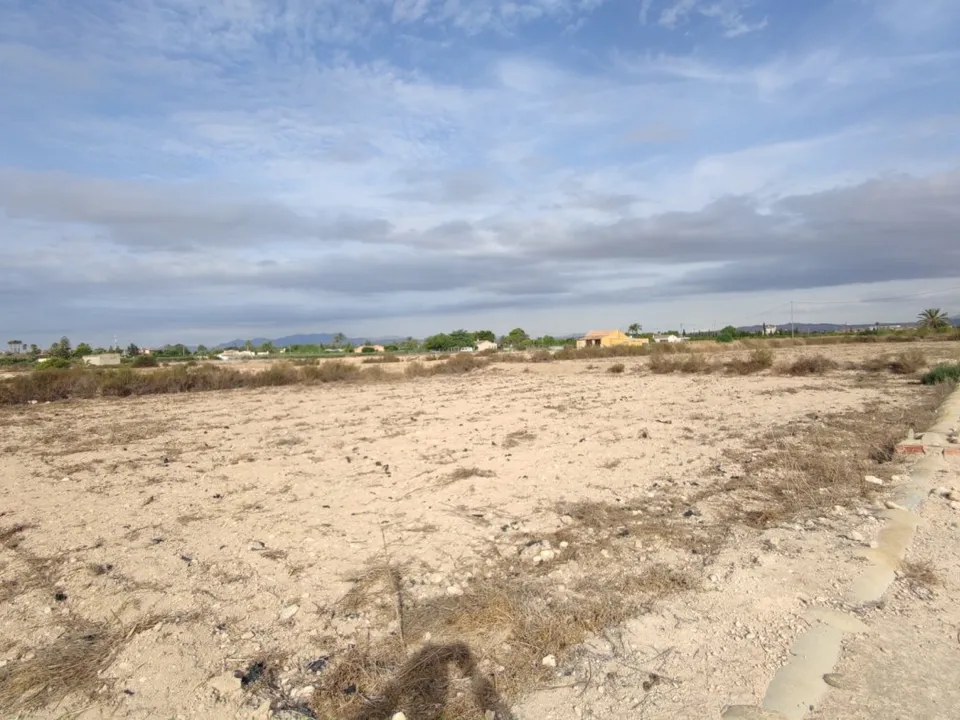 Helårsgrund i Elche, Alicante - foto 3