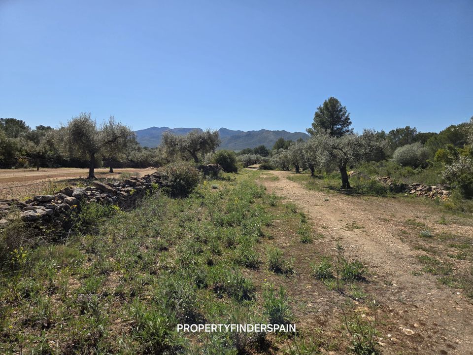 Landejendom i Ginestar, Tarragona - foto 2