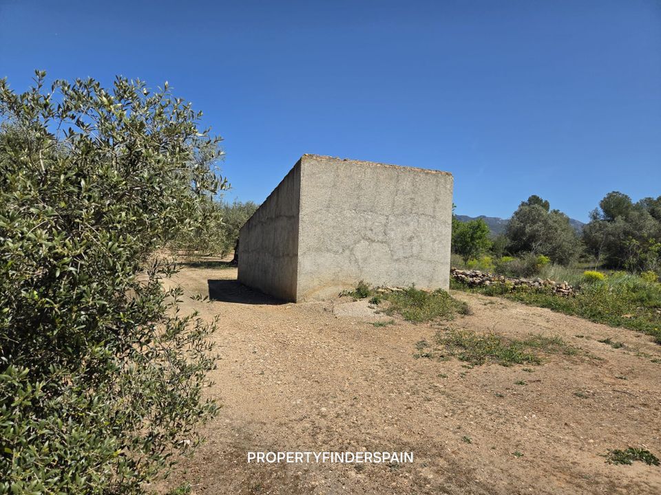 Landejendom i Ginestar, Tarragona - foto 3