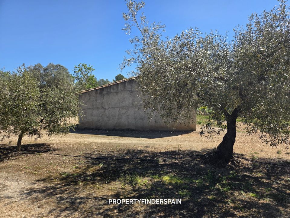 Landejendom i Ginestar, Tarragona - foto 1