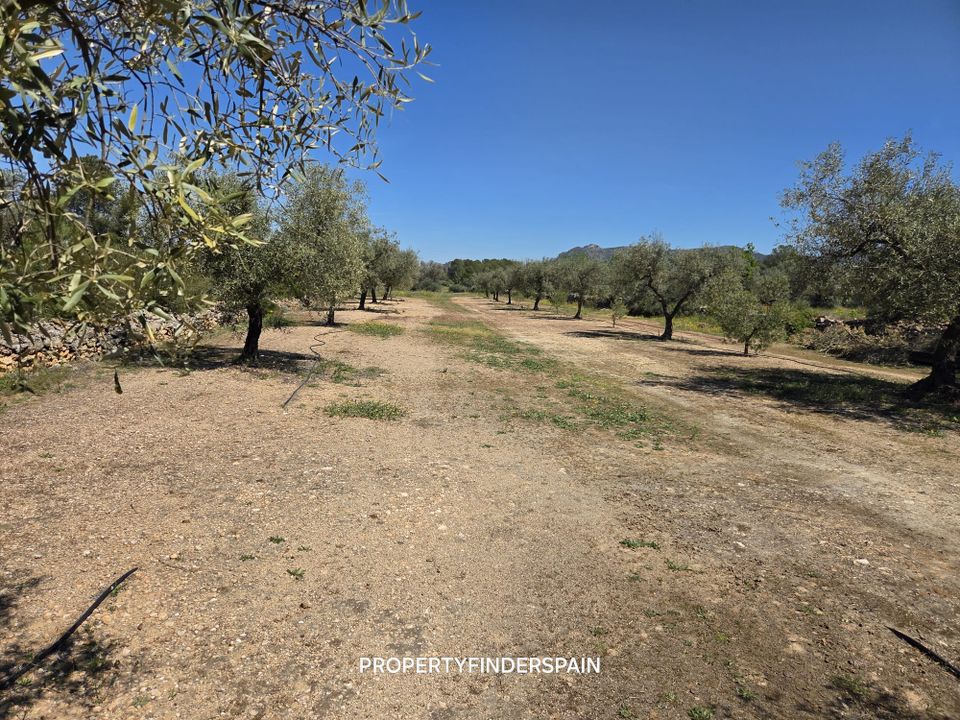Landejendom i Ginestar, Tarragona - foto 4
