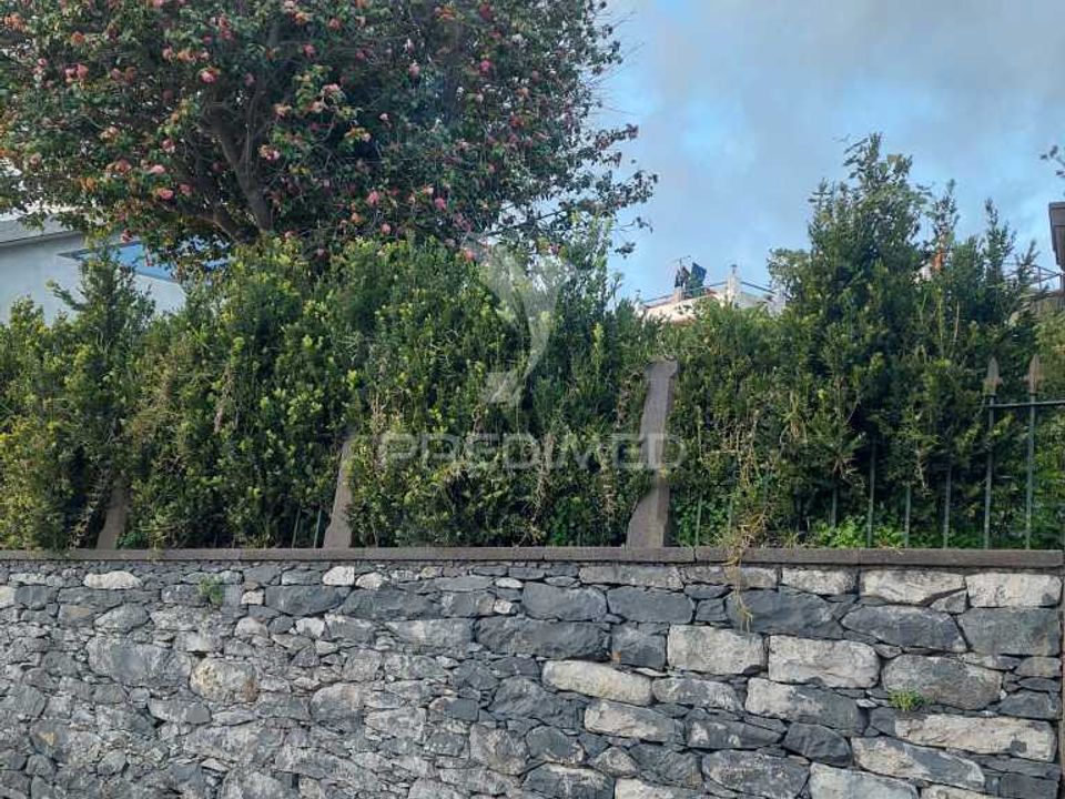 Helårsgrund i Funchal, Madeira - foto 3