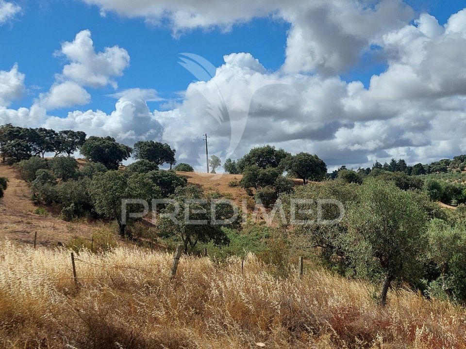 Helårsgrund i Avis, Portalegre - foto 1