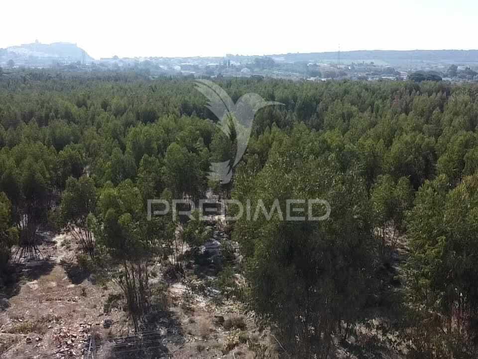 Helårsgrund i Palmela, Setubal - foto 1