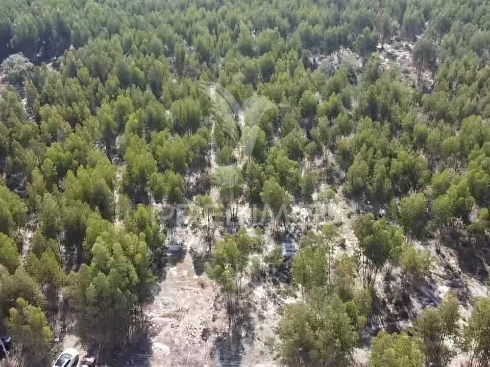 Helårsgrund i Palmela, Setubal - foto 2