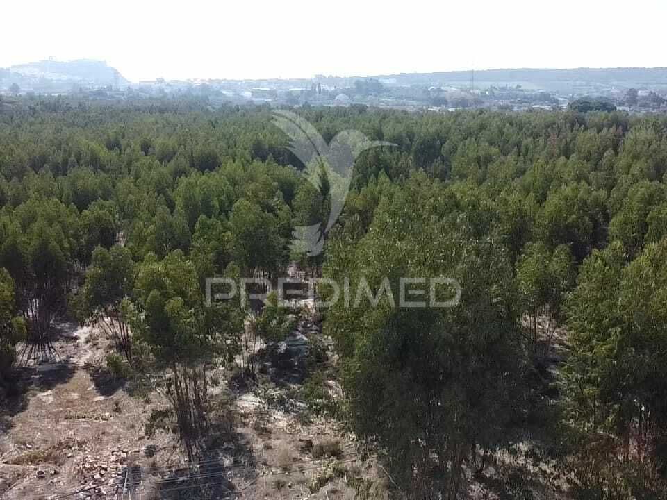 Helårsgrund i Palmela, Setubal - foto 3