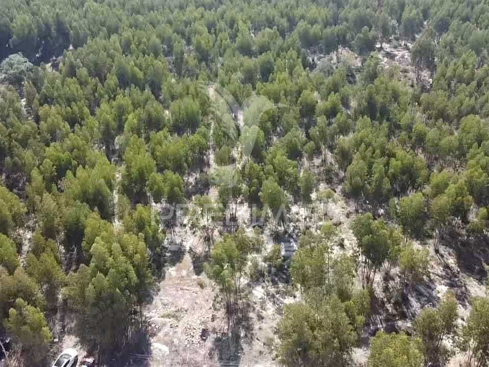 Helårsgrund i Palmela, Setubal - foto 4