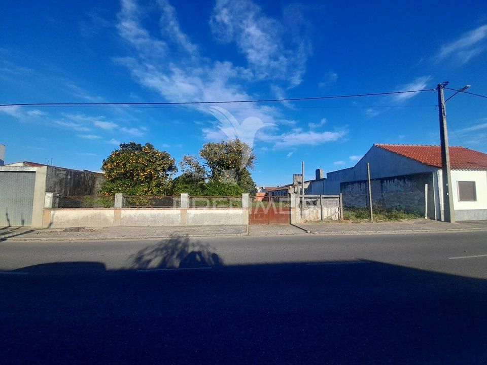 Helårsgrund i Salvaterra de Magos, Santarem - foto 1