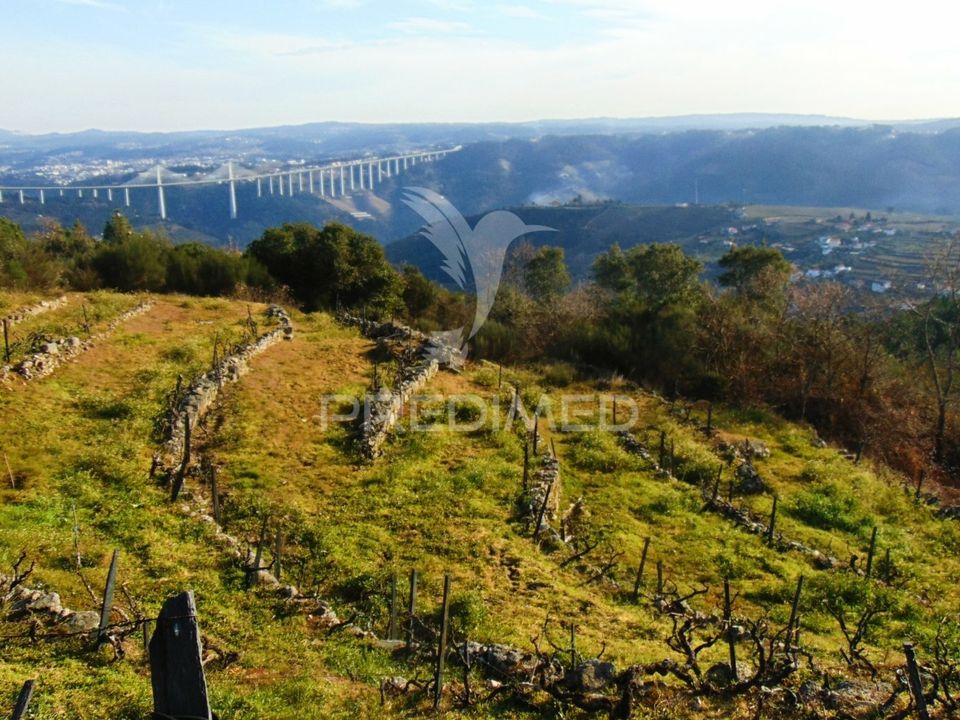 Helårsgrund i Santa Marta de Penaguiao, Vila Real - foto 1