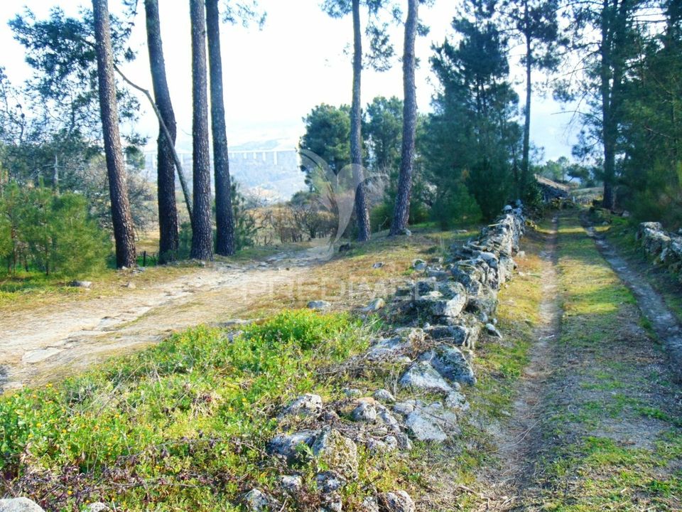 Helårsgrund i Santa Marta de Penaguiao, Vila Real - foto 2