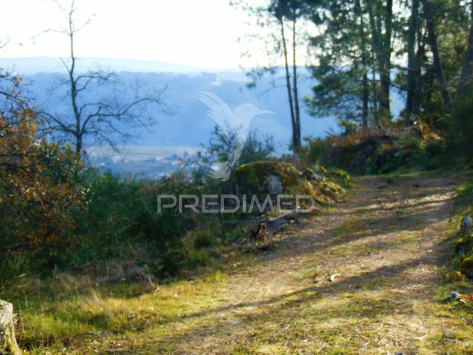 Helårsgrund i Santa Marta de Penaguiao, Vila Real - foto 3