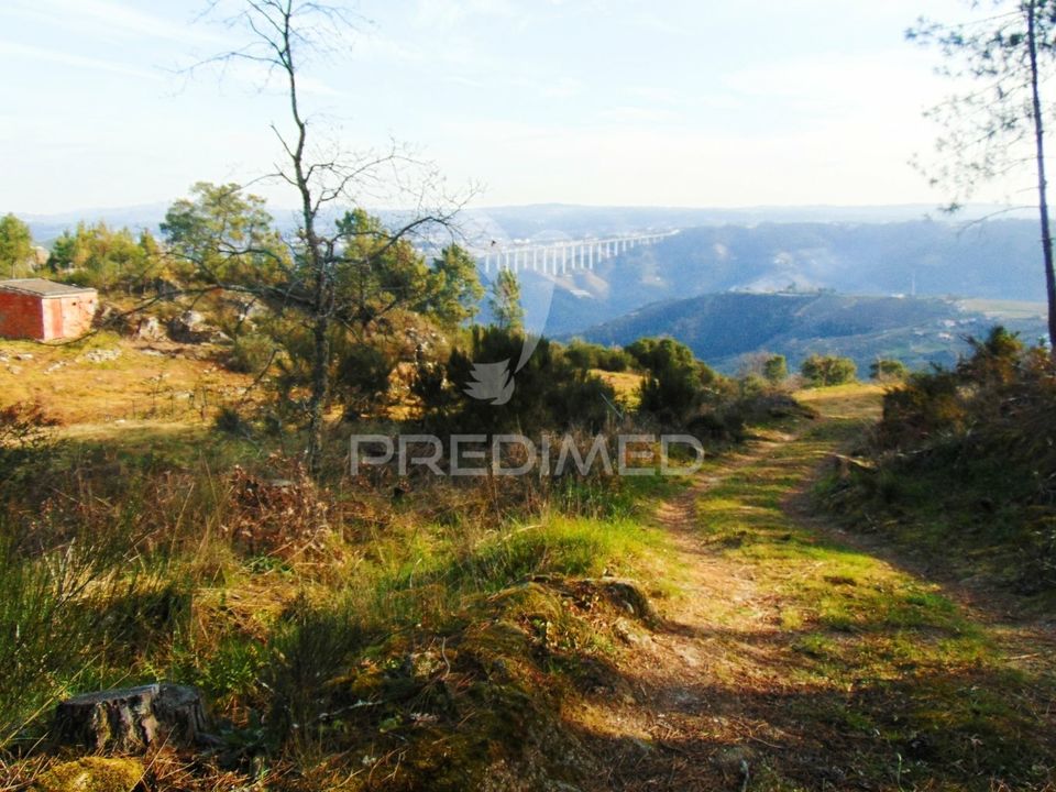 Helårsgrund i Santa Marta de Penaguiao, Vila Real - foto 4