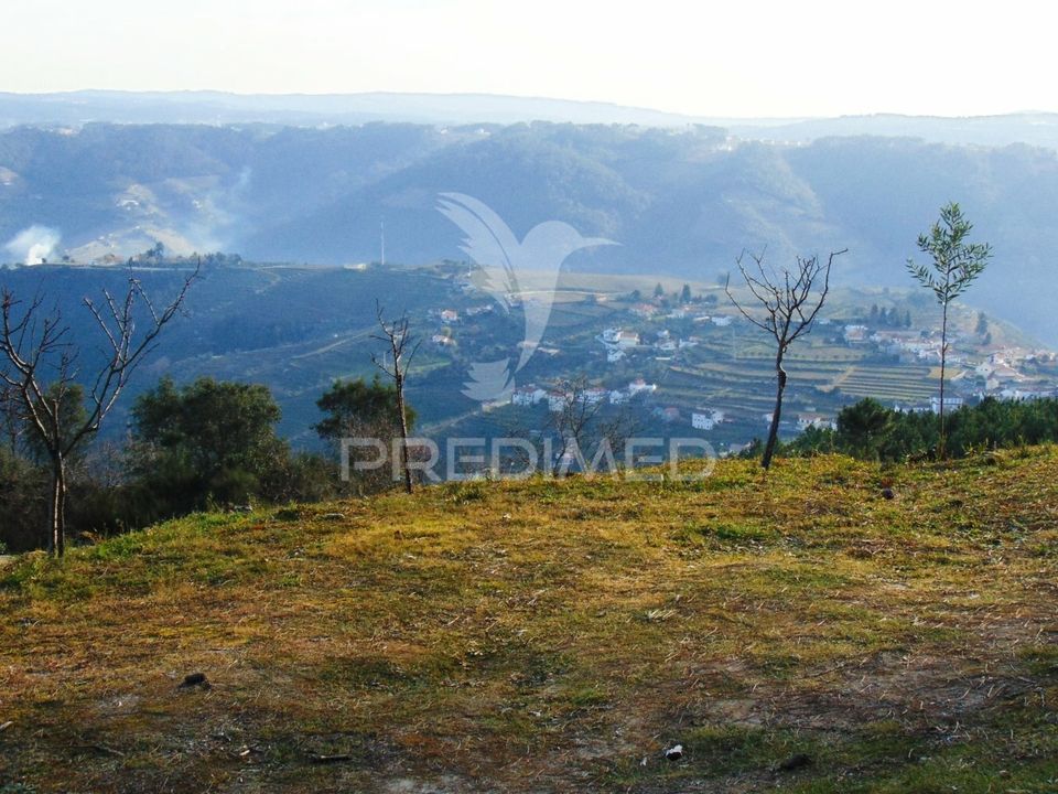 Helårsgrund i Santa Marta de Penaguiao, Vila Real - foto 5