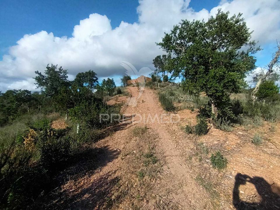 Helårsgrund i Silves, Faro - foto 4