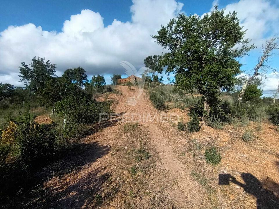 Helårsgrund i Silves, Faro - foto 5