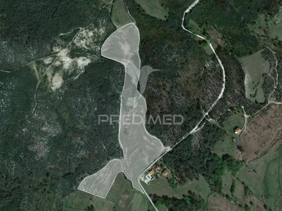 Tomt i Cabeceiras de Basto, Braga - bilde 4