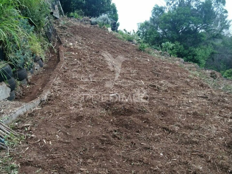 Helårsgrund i Machico, Madeira - foto 1