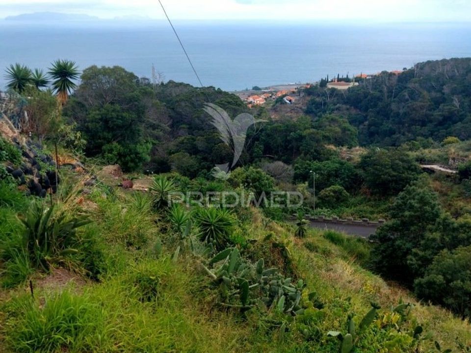 Helårsgrund i Machico, Madeira - foto 4