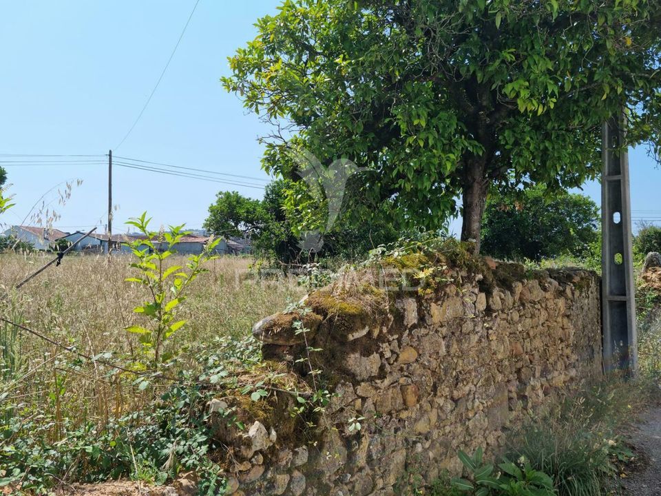 Helårsgrund i Coimbra, Coimbra - foto 5