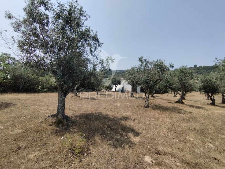 Terra a Castelo de Vide, Portalegre - foto 1