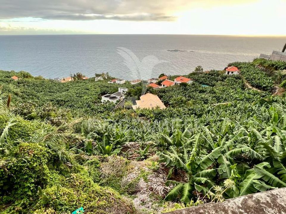 Helårsgrund i Calheta, Madeira - foto 2