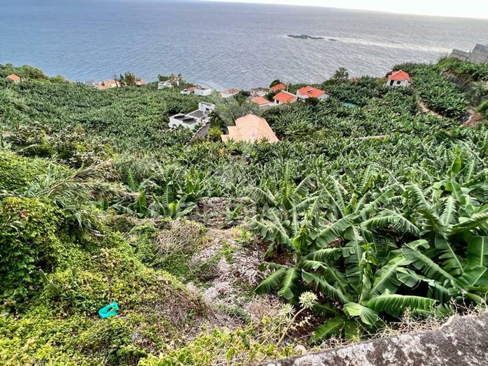 Helårsgrund i Calheta, Madeira - foto 3