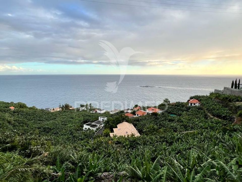 Helårsgrund i Calheta, Madeira - foto 5