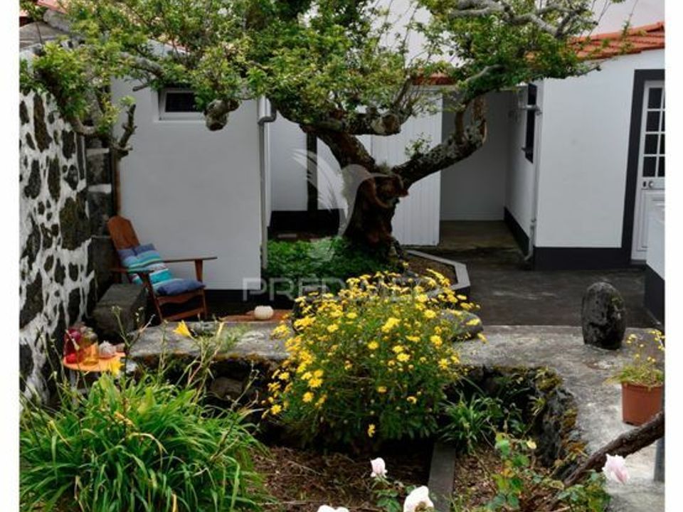 Byhus i Velas, Sao Jorge - foto 3