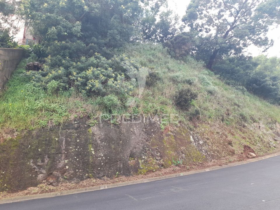 Helårsgrund i Santa Cruz, Madeira - foto 3