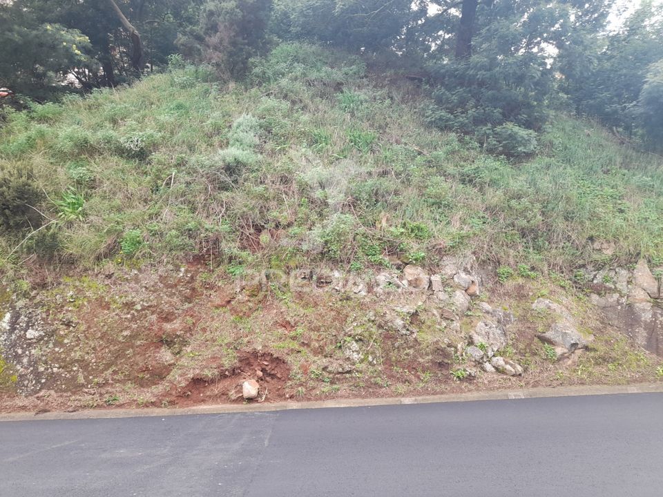 Helårsgrund i Santa Cruz, Madeira - foto 4