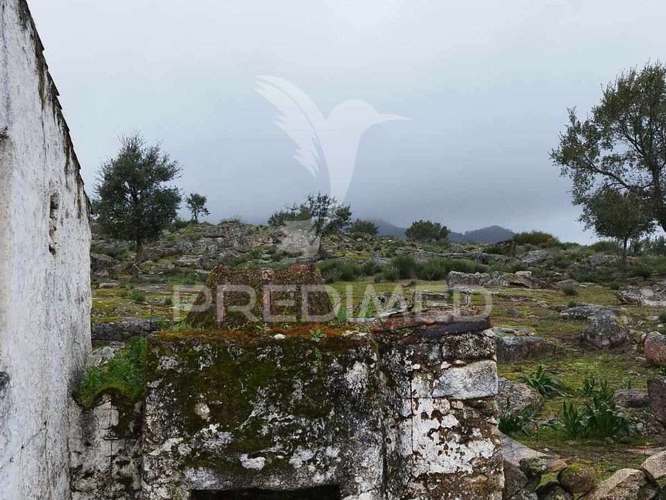 Farm hus i Castelo de Vide, Portalegre - foto 1