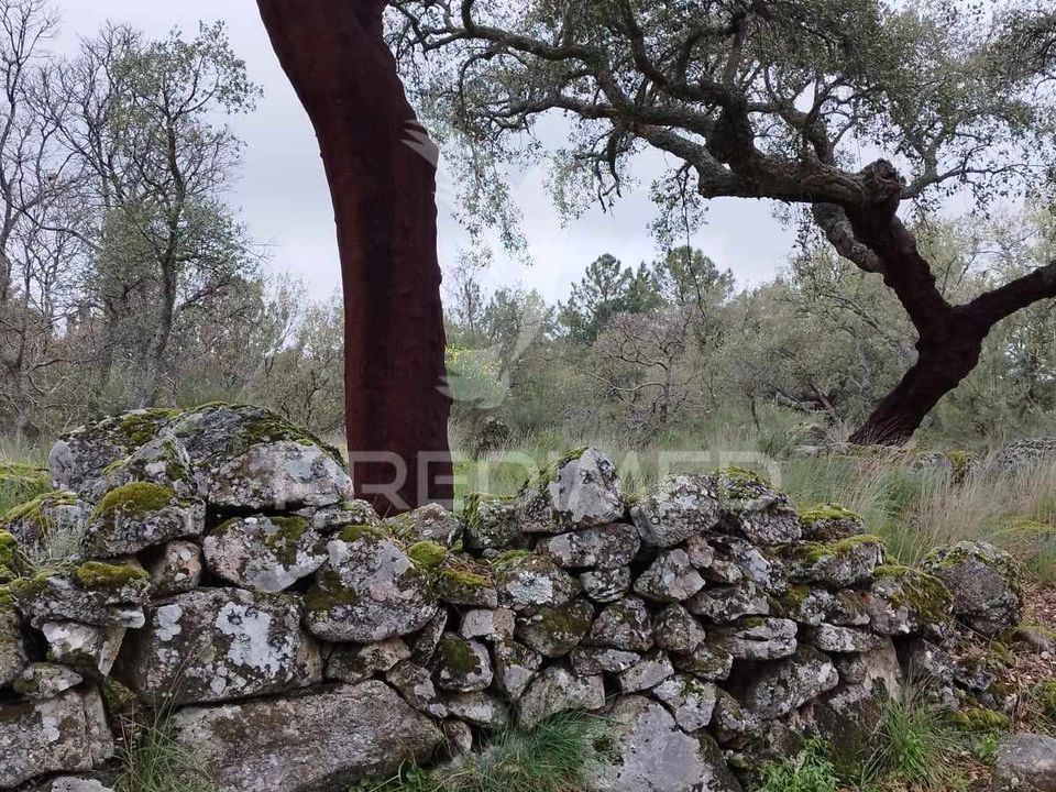 Farm hus i Castelo de Vide, Portalegre - foto 5