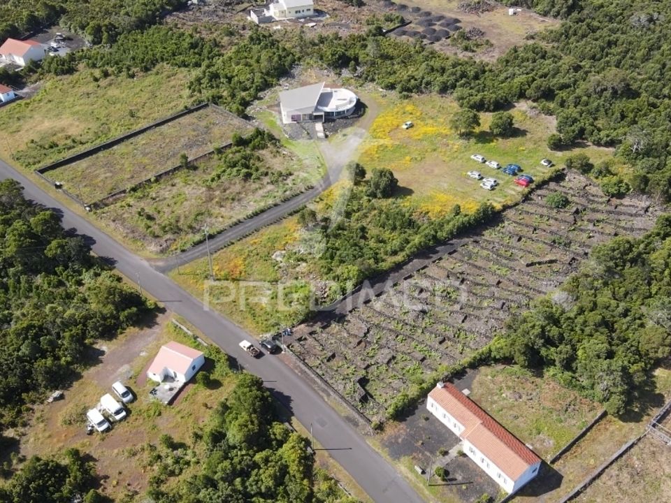Helårsgrund i Madalena, Pico - foto 2
