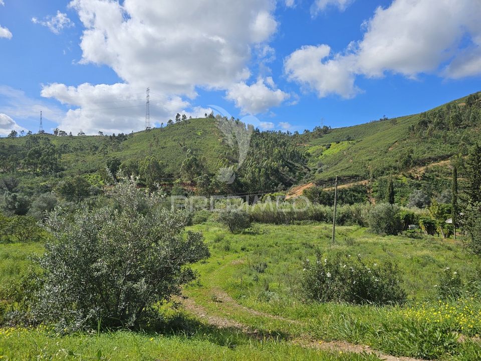 Helårsgrund i Silves, Faro - foto 5