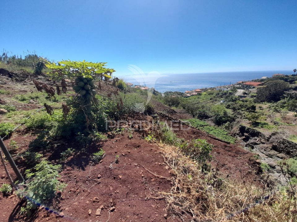 Helårsgrund i Santa Cruz, Madeira - foto 1