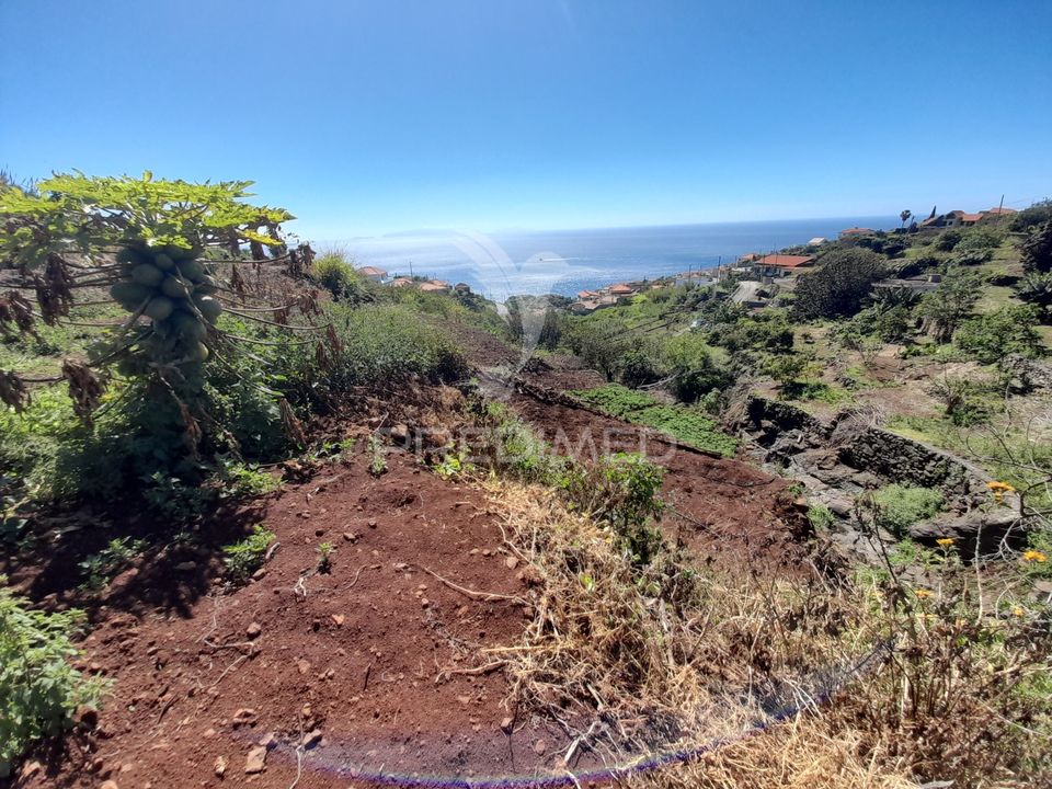 Helårsgrund i Santa Cruz, Madeira - foto 2