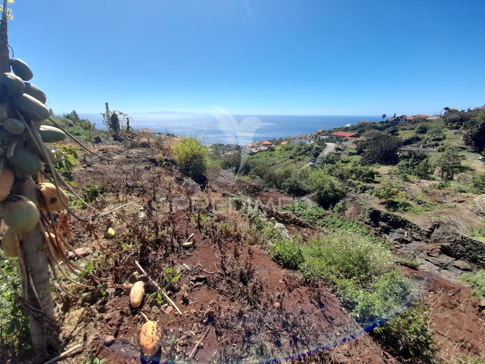Helårsgrund i Santa Cruz, Madeira - foto 3
