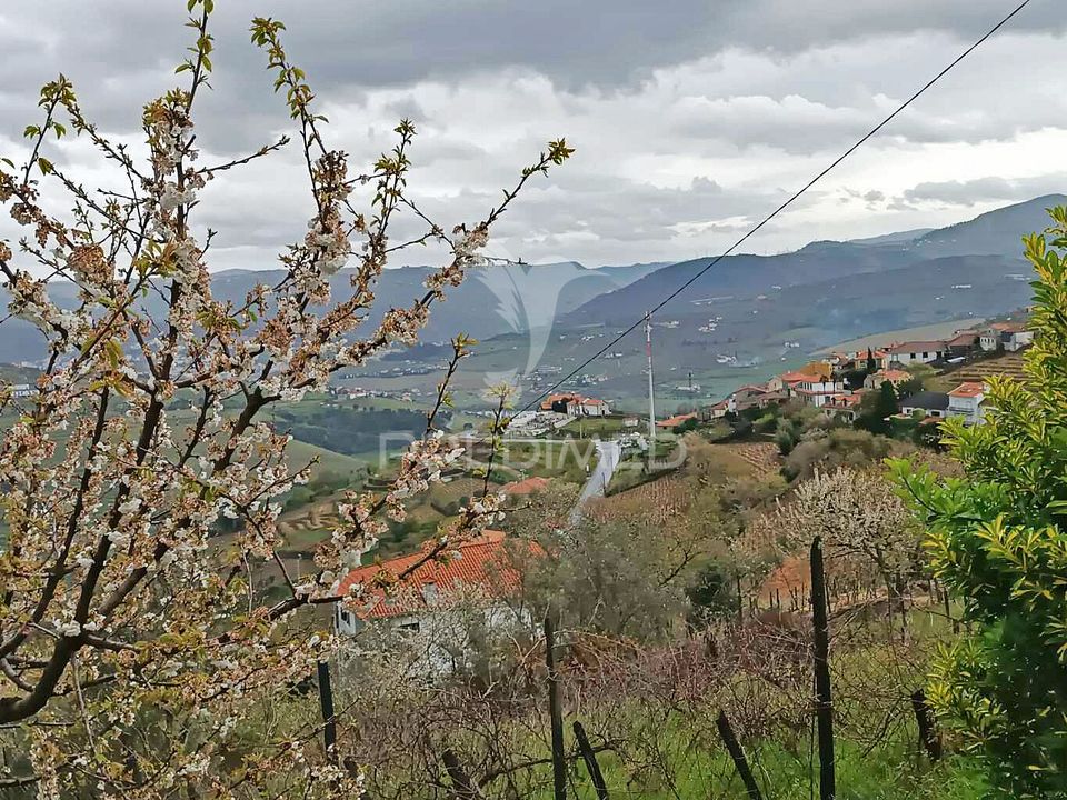 Rekkehus i Lamego, Viseu - bilde 2